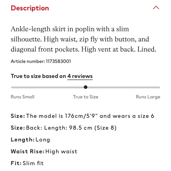 H&M Maxi Skirt - Picture 11 of 12